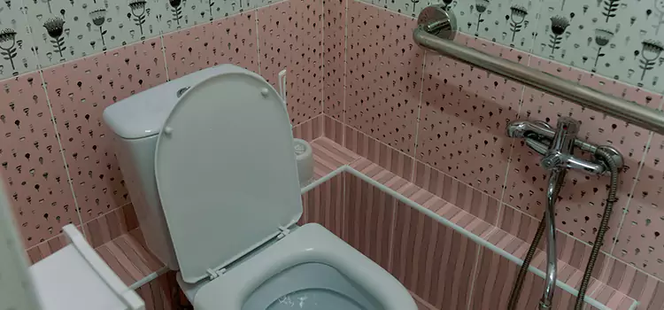 Meeting Diverse Needs With Accessible Restroom Solutions in Kingsville, TX